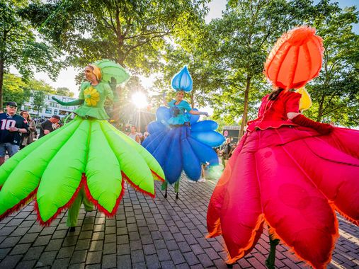 peoples in costumes dancing